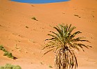 Maroko2015-6668-1.jpg
