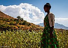 Etiopia2019-0790 : Afryka, Etiopia
