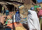 Etiopia2019-1243-5 : Afryka, Etiopia