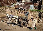 Etiopia2019-1306-1 : Afryka, Etiopia