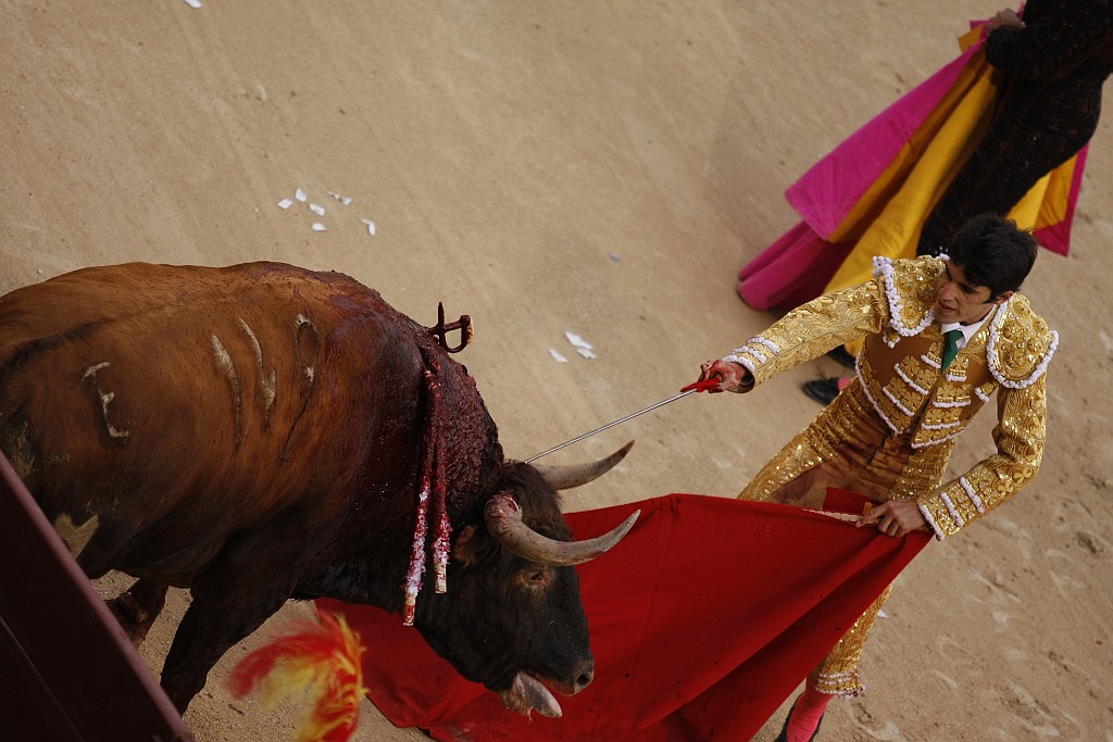 walka z bykami-Madryt