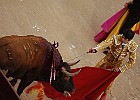 walka z bykami-Madryt