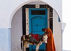 Maroko2015-5765-1 : Maroko