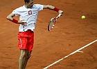 Puchar Davisa-7131-1 : tenis