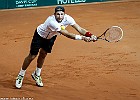 Puchar Davisa-7343-1 : tenis